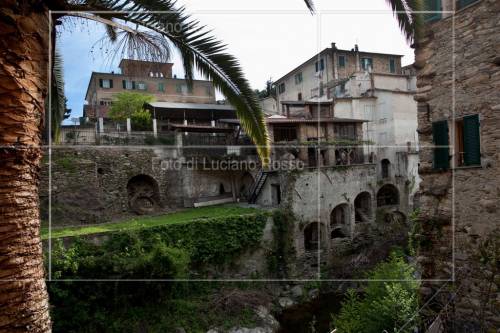 Clicca per vedere l'immagine alla massima grandezza