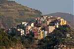 Corniglia_IMG_7677.JPG