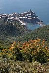 Vernazza_IMG_7742.JPG